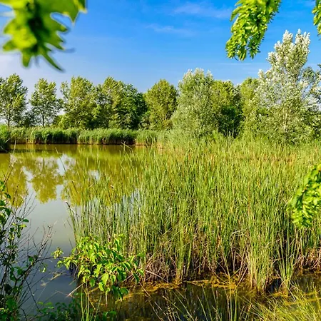 Tenuta Regina - Glamping Luxury And Palazzolo dello Stella