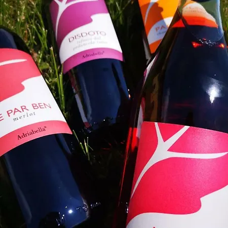 Tenuta Regina - Glamping Luxury And