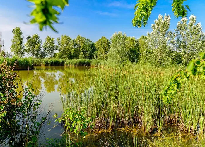 Tenuta Regina - Glamping Luxury And Palazzolo dello Stella